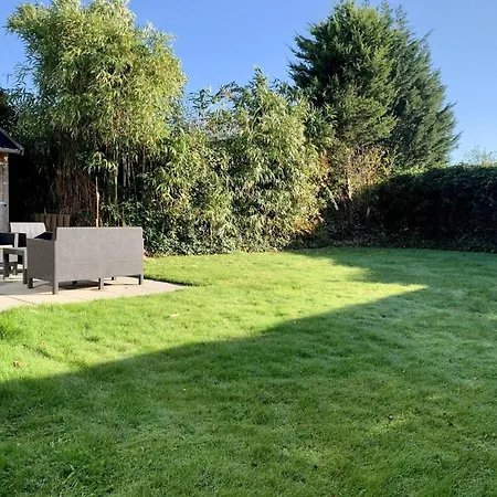 With A Sunny Garden