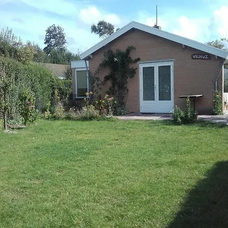 With A Sunny Garden *