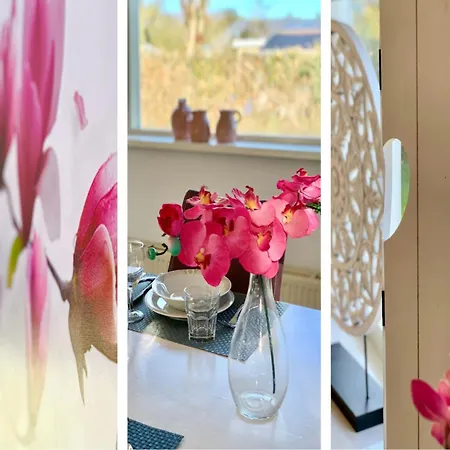 Casa vacanze With A Sunny Garden Sint Maartensvlotbrug