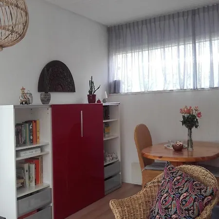 With A Sunny Garden *