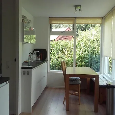 With A Sunny Garden *