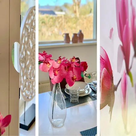 With A Sunny Garden Sint Maartensvlotbrug